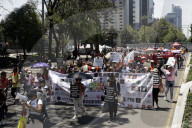 Protest Against Animal Abuse In Mexico City