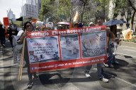 Protest Against Animal Abuse In Mexico City