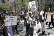Protest Against Animal Abuse In Mexico City