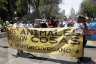 Protest Against Animal Abuse In Mexico City