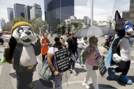 Protest Against Animal Abuse In Mexico City