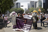 Protest Against Animal Abuse In Mexico City