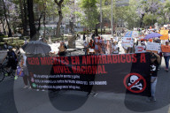 Protest Against Animal Abuse In Mexico City