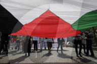 March In Solidarity With Palestine In Mexico