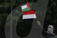 March In Solidarity With Palestine In Mexico