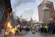 March In Solidarity With Palestine In Mexico
