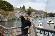 Cherry Blossom Season In Tokyo