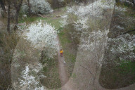 Warsaw Daily Life