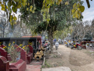 Vietnamese Cemetery