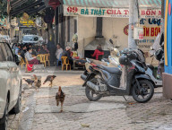 Everyday Life In The Vietnamese City Of Thanh Hoa