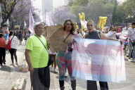 March For Trans Visibility In Mexico