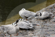 Kharkiv Zoo celebrates International Bird Day
