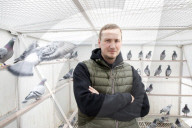Pigeon fanciers in Belgium relive agony of stolen prized birds