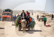 Hamas Israel Conflict