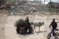 Hamas Israel Conflict