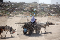 Hamas Israel Conflict