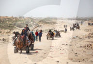 Hamas Israel Conflict
