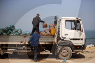 Hamas Israel Conflict