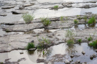 Low Water Level On The River Elbe In Magdeburg As A Result Of Climate Change