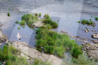 Low Water Level On The River Elbe In Magdeburg As A Result Of Climate Change