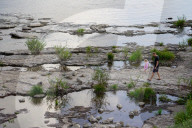 Low Water Level On The River Elbe In Magdeburg As A Result Of Climate Change
