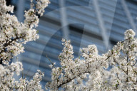Warsaw Daily Life During Spring.