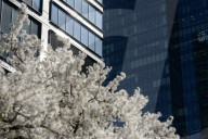 Warsaw Daily Life During Spring.