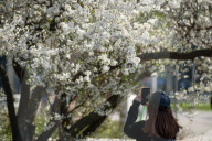 Warsaw Daily Life During Spring.