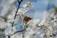 Warsaw Daily Life During Spring.