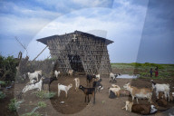 Timeless world of Ethiopia's Omo valley tribes