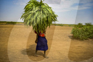 Timeless world of Ethiopia's Omo valley tribes