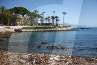 Daily Life In Antibes, France