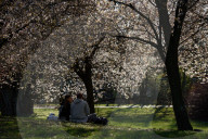 Warsaw Daily Life During Spring.
