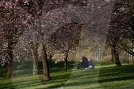 Warsaw Daily Life During Spring.