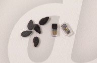 World's smallest heart pacemaker