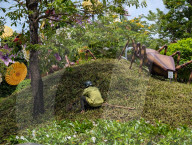 Daily Life On Vietnamese Island Phu Quoc 