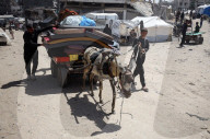 Palestinians Flee The Shuja'iyya Neighborhood 