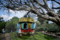 Tourism In The Bogor Botanical Garden Indonesia