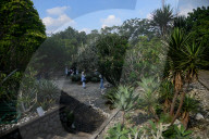 Tourism In The Bogor Botanical Garden Indonesia