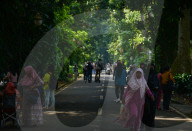 Tourism In The Bogor Botanical Garden Indonesia