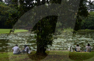 Tourism In The Bogor Botanical Garden Indonesia