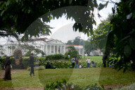Tourism In The Bogor Botanical Garden Indonesia
