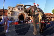 Gangaur Festival