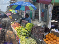 India's Economy