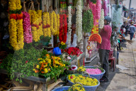 India's Economy