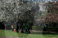 Daily Life In Italy 