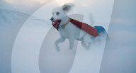 Detailed scene from new Superman movie released
