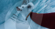 Detailed scene from new Superman movie released