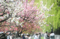 West Lake Tour in Hangzhou