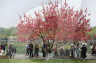 West Lake Tour in Hangzhou